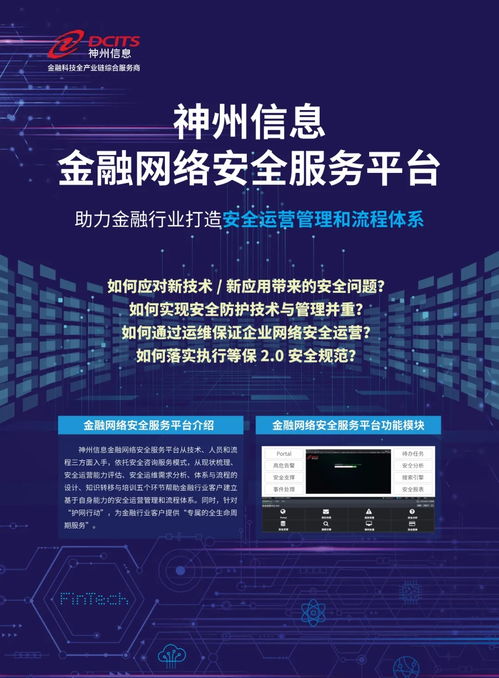 神州信息金融網絡安全服務平臺技術咨詢