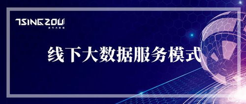 連接物理與數(shù)字世界 線下大數(shù)據(jù)服務(wù)模式的市場營銷洞察